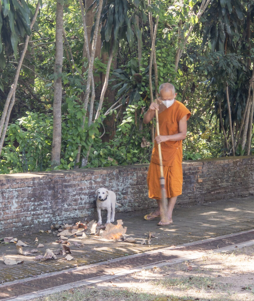 Wat Umong Chiang Mai Thailand