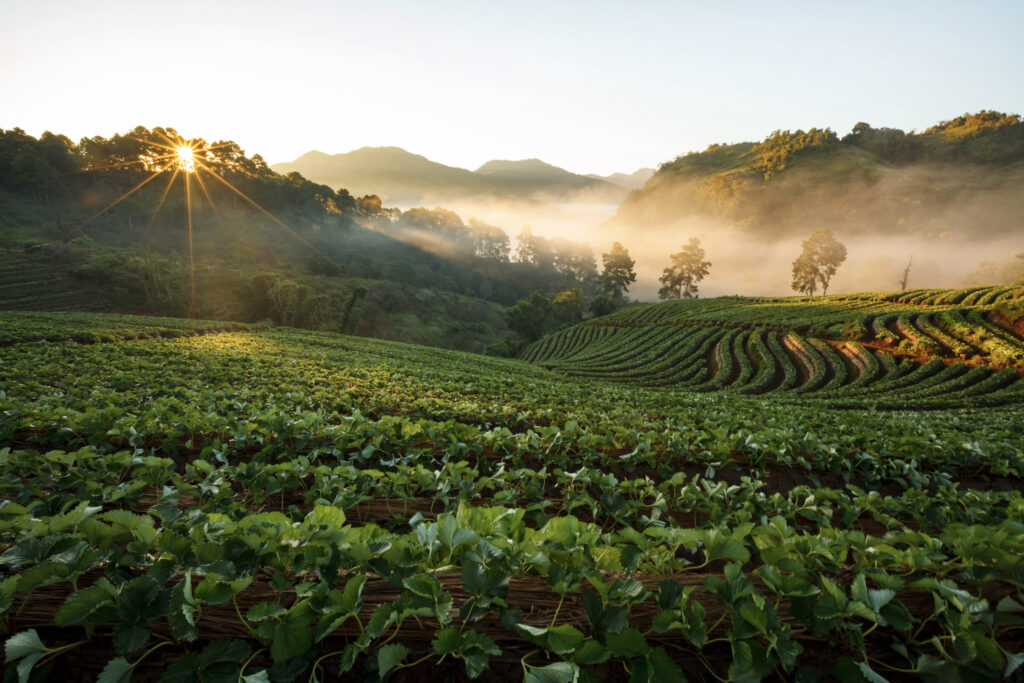 Best Day Trips Thailand