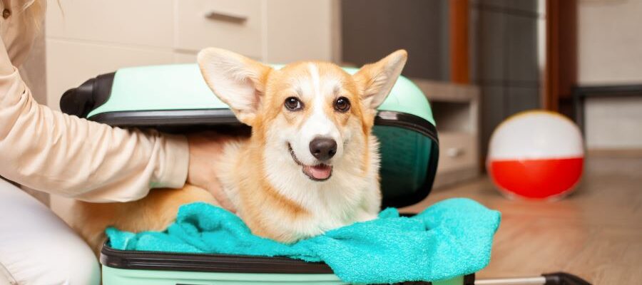 Travel Insurance