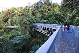 Canopy-Bridge-Sirikit-Garden