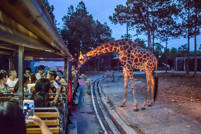 Night Safari Chiang Mai