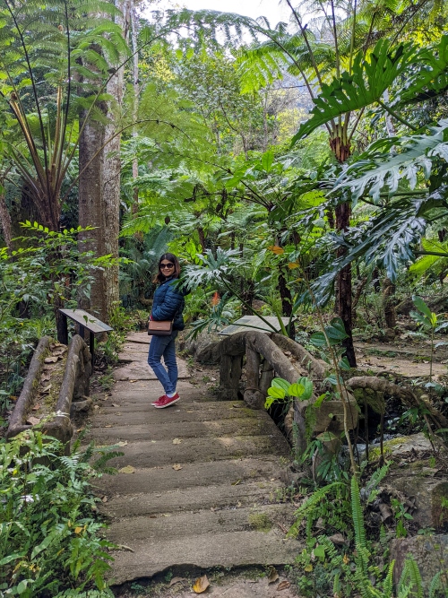 Sirithum-Waterfall-Doi-Inthanon-Thailand