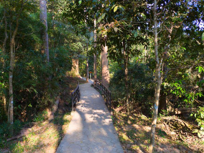 Mae Sa Waterfall Mae Rim