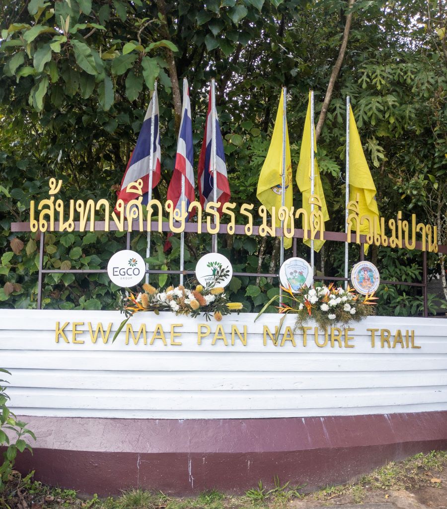 Nature Trail Doi Inthanon National Park