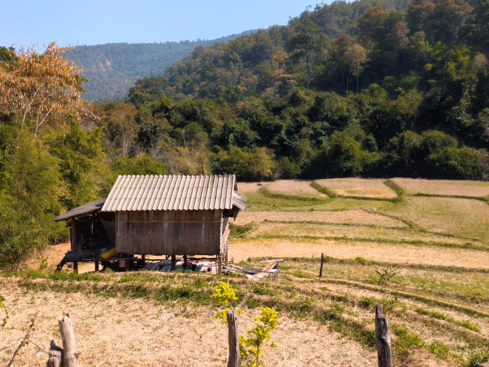 Op Luang National Park Thailand Jan 2025