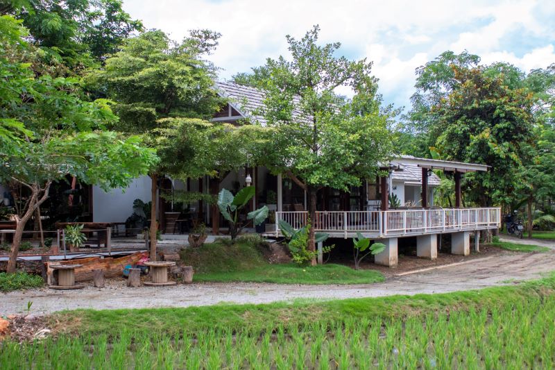 Rice Fields Wan Waan Cafe Thailand