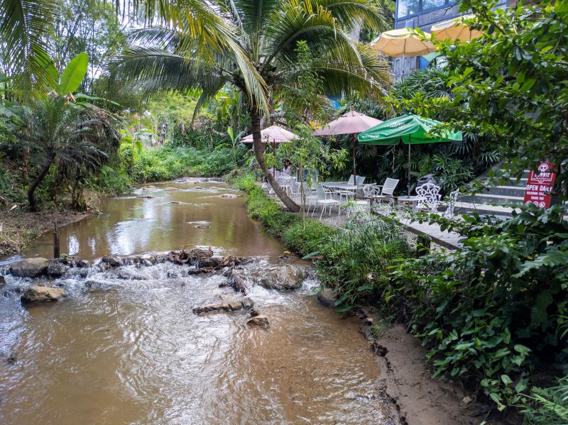 Zombie Cafe Mae Rim Thailand