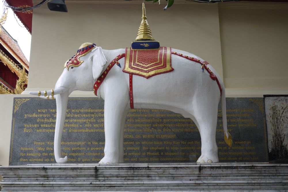 White Elephant Doi Suthep