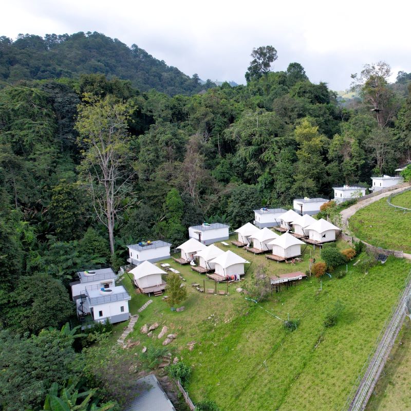 Pongyang Jungle Camp