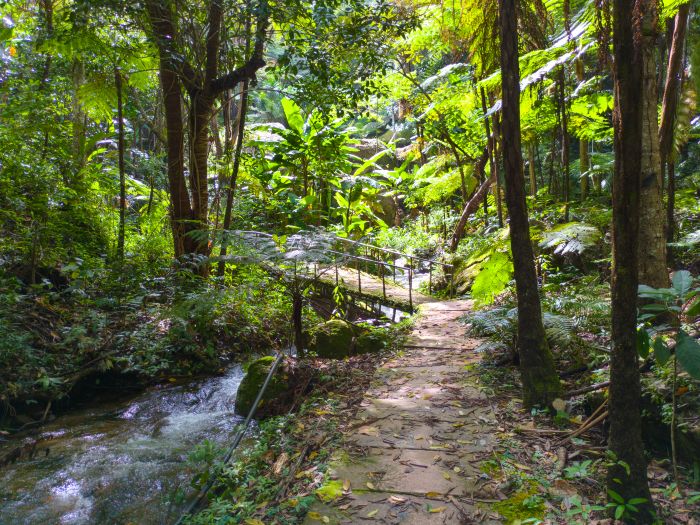 Siruphun Waterfall Doi Inthanon National Park 