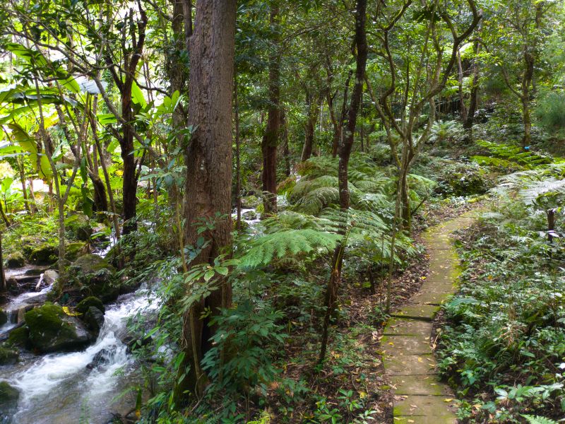 Siruphun Waterfall Doi Inthanon National Park