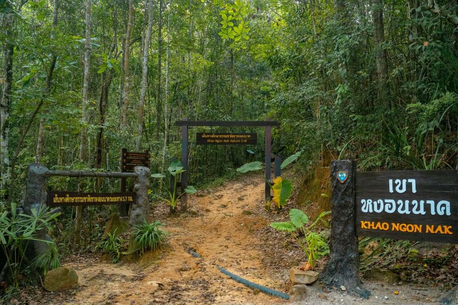 Khao Ngon Nak Trail Krabi Thailand