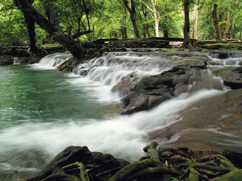 Than Bok Khorani National Park Krabi