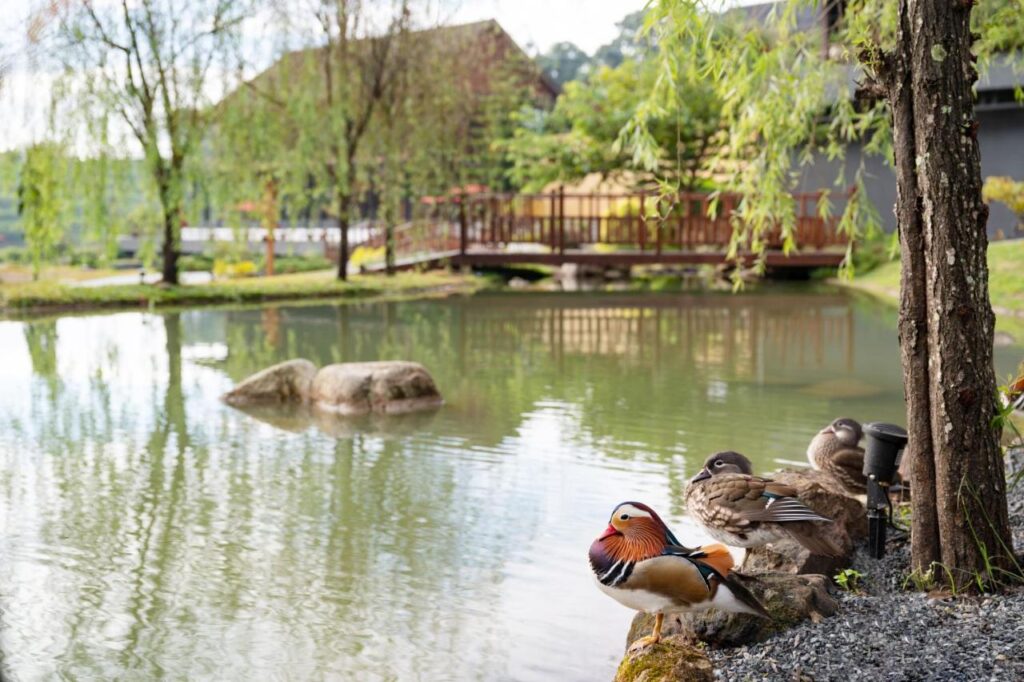 Onsen at Monjam Resort