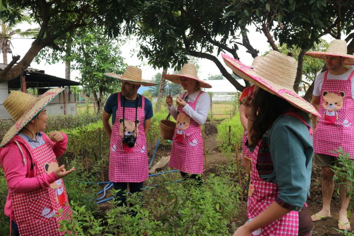 Smile Organic Farm Cooking Class Chiang Mai