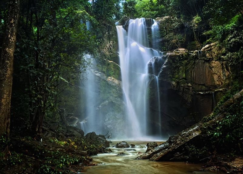 Mok Fa Waterfall Doi Suthep