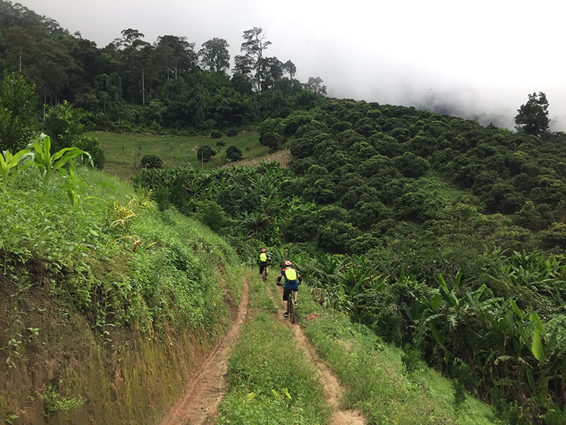 Mountain Biking Chiang