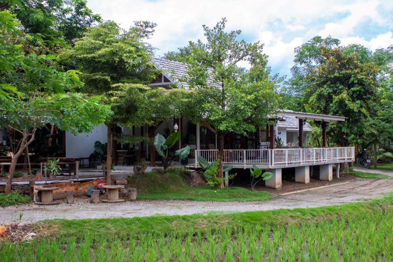 Rice Fields Wan Waan Cafe Thailand