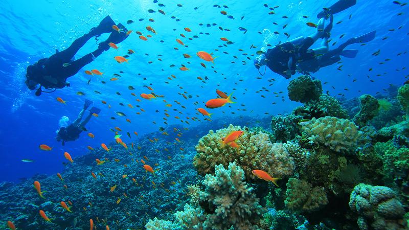 Scuba Diving Thailand