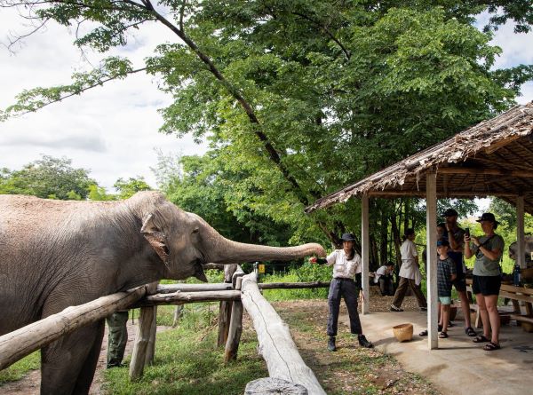 Bush Camp Chiang Mai