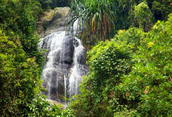 Koh Samui Waterfall