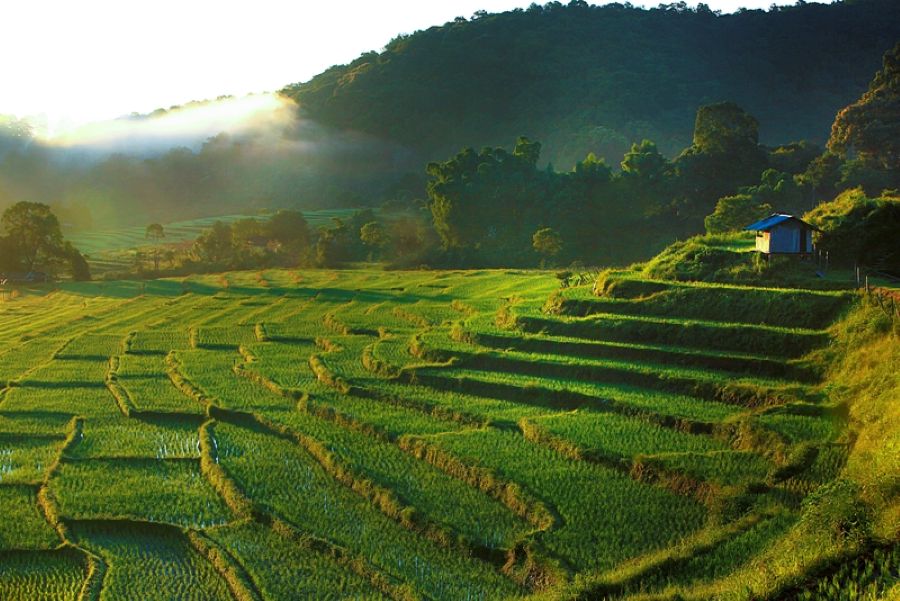 Mae Klang Luang Hill Tribe Village Doi Inthanon