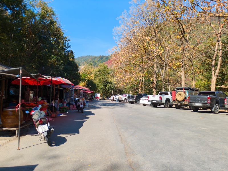 Mae Ya Waterfall Doi Inthanon 