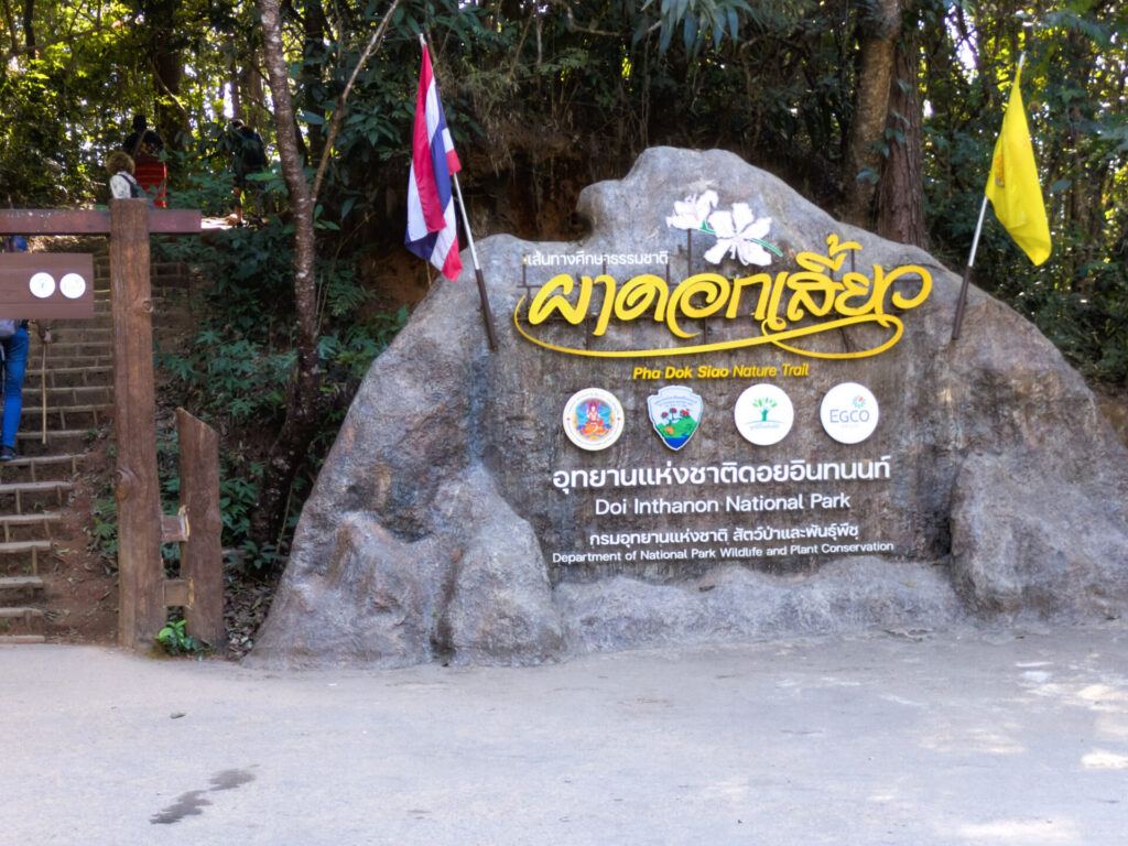 Pha Dok Siao Trail Doi Inthanon