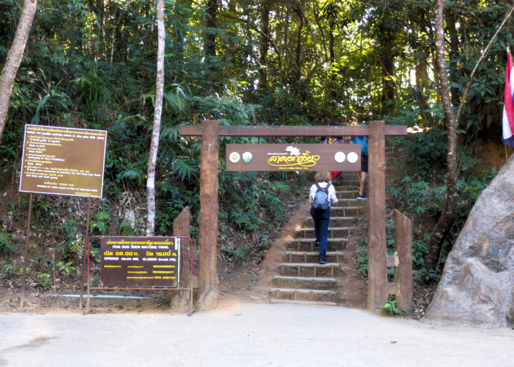 Pha Dok Siao Trail Doi Inthanon