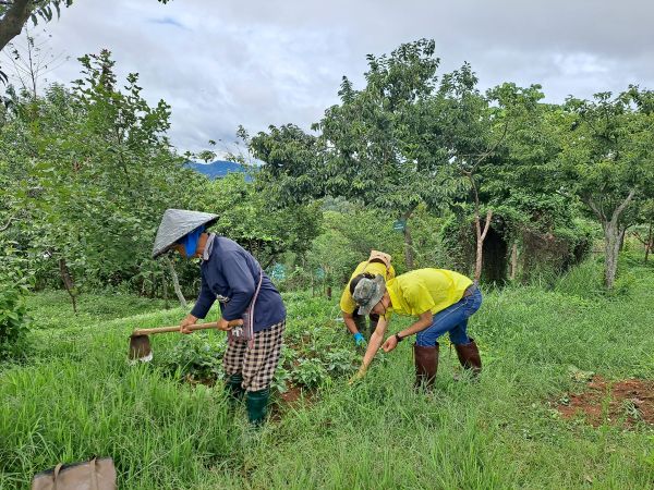 Royal Project Mae Rim