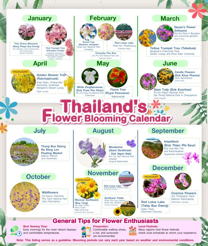 Thailands Flower Blooms Calendar 2025