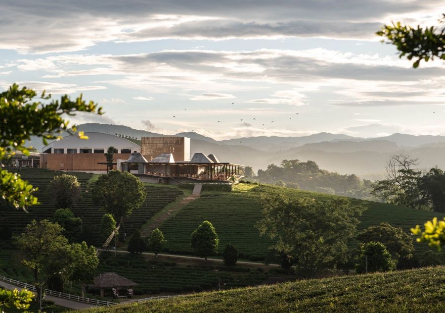 Choui-Fong-Tea-Cafe-Chiang-Rai