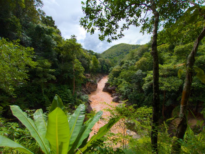 Op Luang National Park Thailand