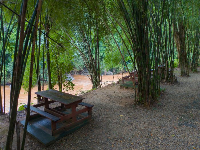 Op Luang National Park Thailand