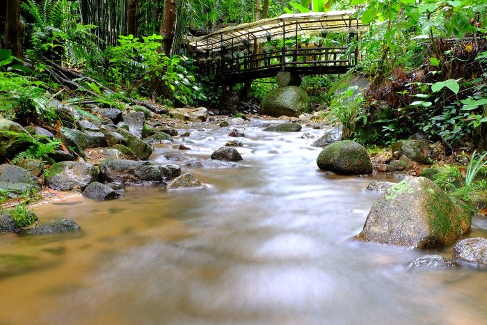 Teddu Inn Mae Kampong