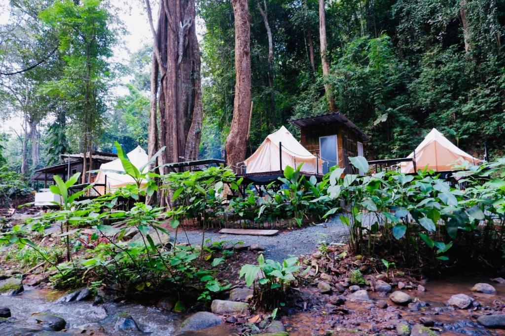 The Camp Mae kapong Glamping