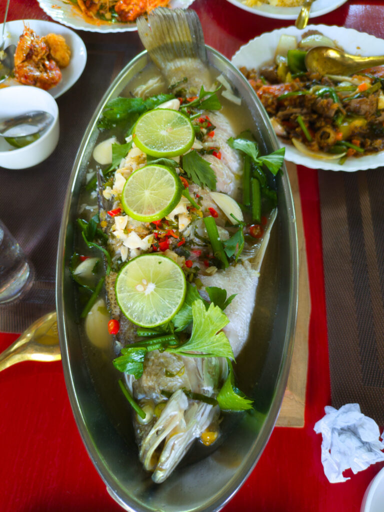 The Lamp Lamphun Farm Cafe