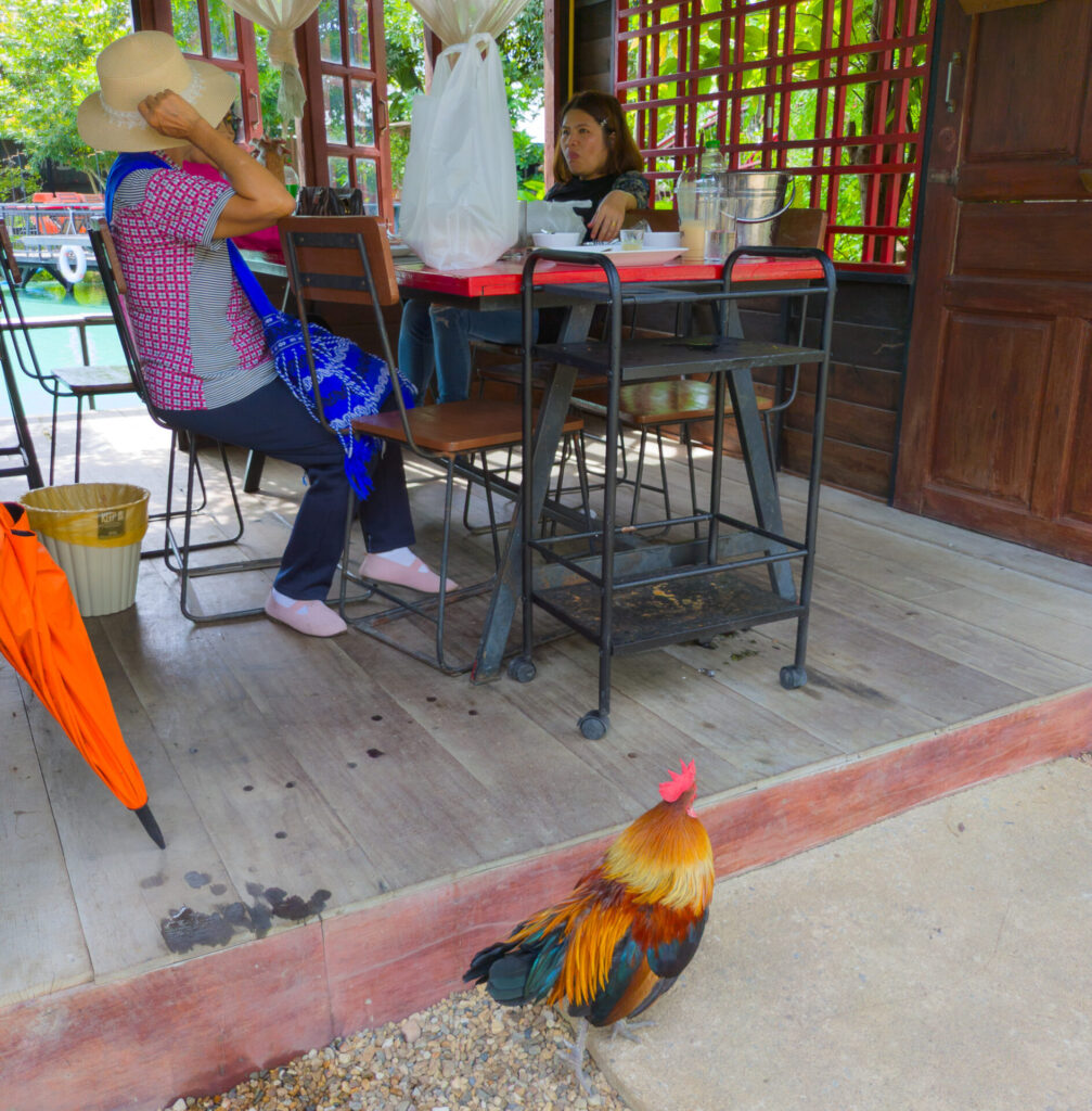 The Lamp Lamphun Farm Cafe