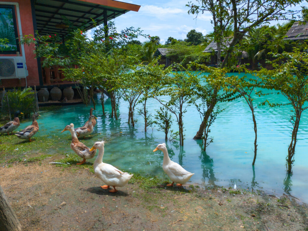 The Lamp Lamphun Unique Restaurant