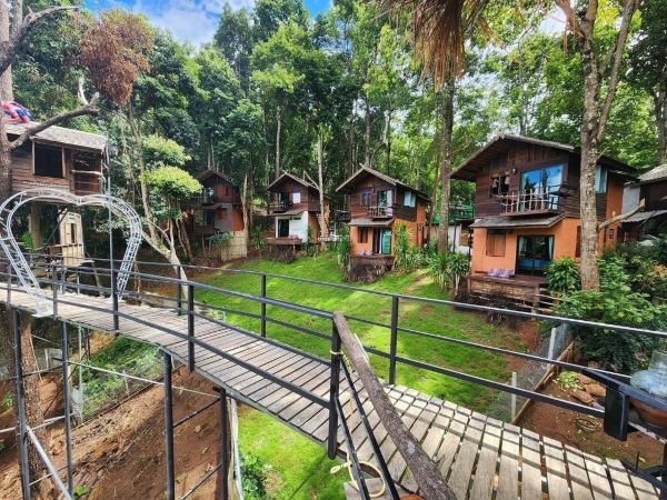 Tonmai Maekampong Homestay