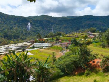 Ban Khun Klang Hilltribe Village Doi Inthanon National Park 2025