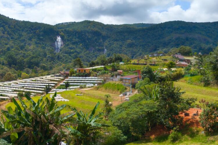 Ban Khun Klang Hilltribe Village Doi Inthanon National Park 2025