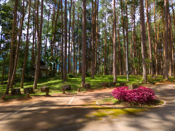 Ban Khun Klang Hilltribe Village Doi Inthanon