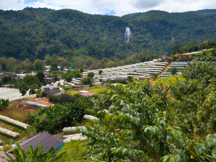 Ban Khun Klang Hilltribe Village Doi Inthanon