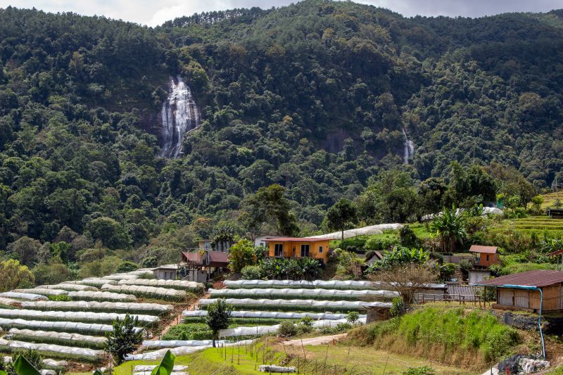 Ban Khun Klang Village Doi Inthanon Thailand