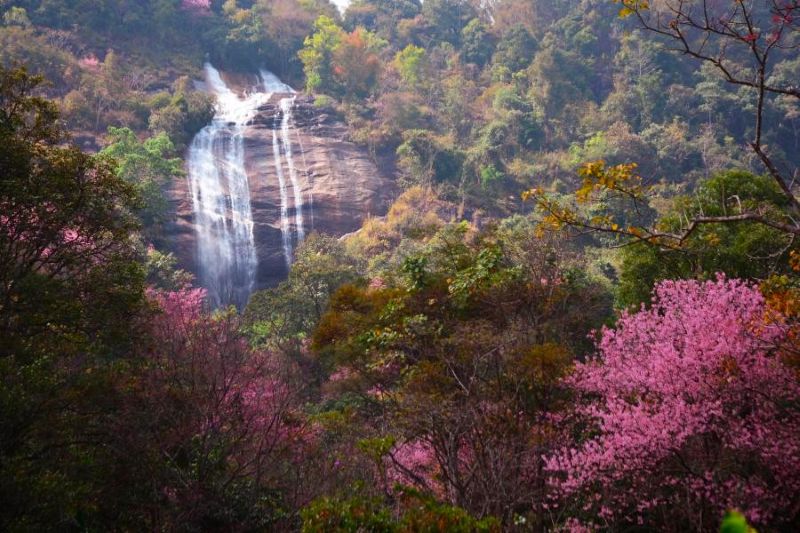Siriphum Waterfall Doi Inthanon