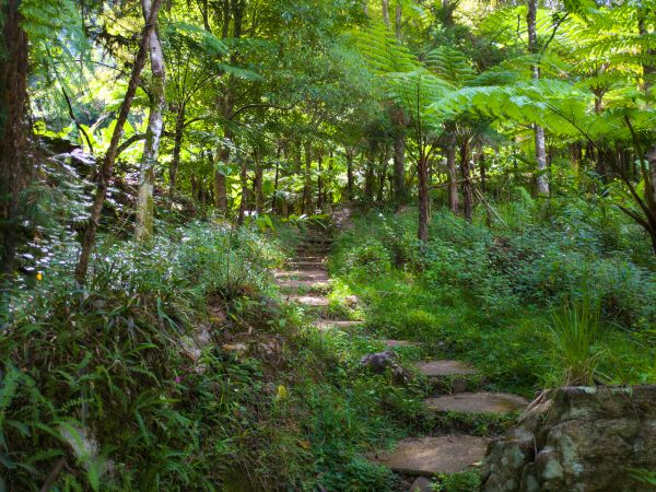Siriphun Waterfall Doi Inthanon National Park
