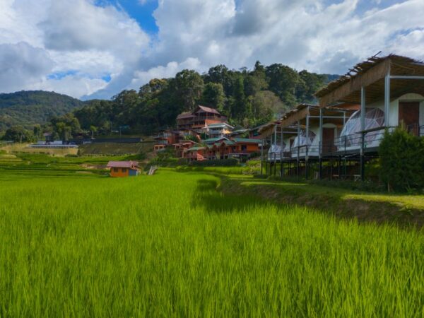 Mae Klang Luang Villa Doi Inthanon National Park
